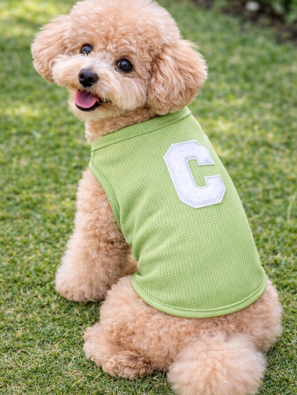 Green Dog Shirt Letter C Pet Clothes Small Dog Jersey Cute Puppy Outfit New)